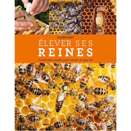 Elever ses reines - 3 méthodes simples pour réussir à coup sûr