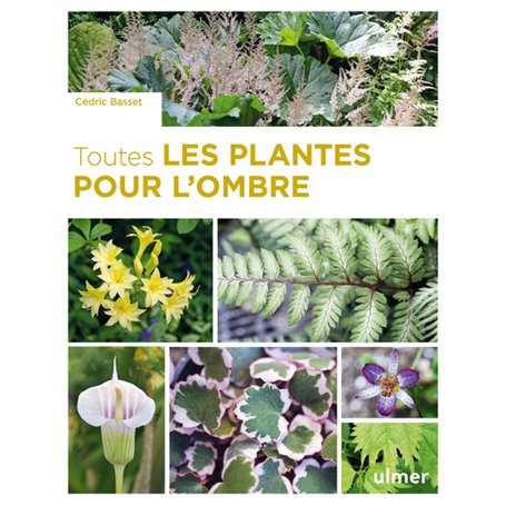 Toutes les plantes pour l'ombre