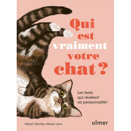 Qui est vraiment votre chat ? - Les tests qui révèlent sa personnalité !
