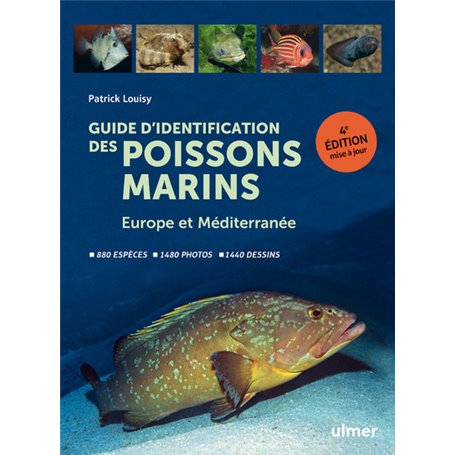 Guide d'identification des poissons marins - Europe et Méditerranée