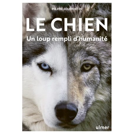 Le Chien, un loup rempli d'humanité