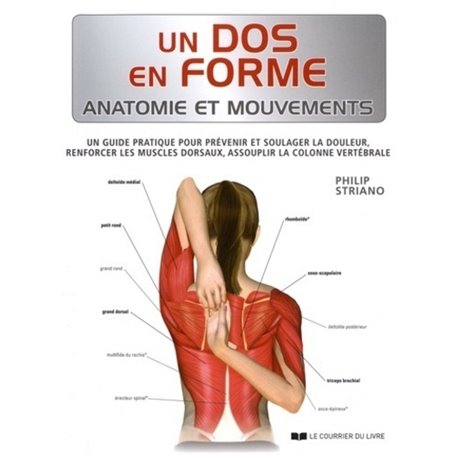 Un dos en forme - Anatomie et Mouvements