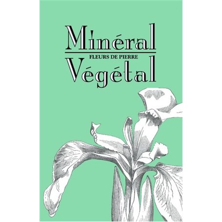 Minéral-Végétal. Fleurs de pierre