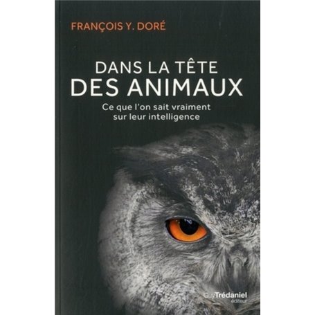 Dans la tête des animaux