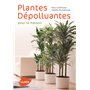 Plantes dépolluantes pour la maison