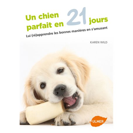 Un chien parfait en 21 jours - Lui (ré)apprendre les bonnes manières en s'amusant
