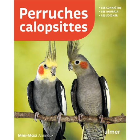 Perruches callopsites