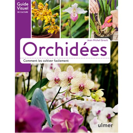 Orchidées - Comment les cultiver facilement