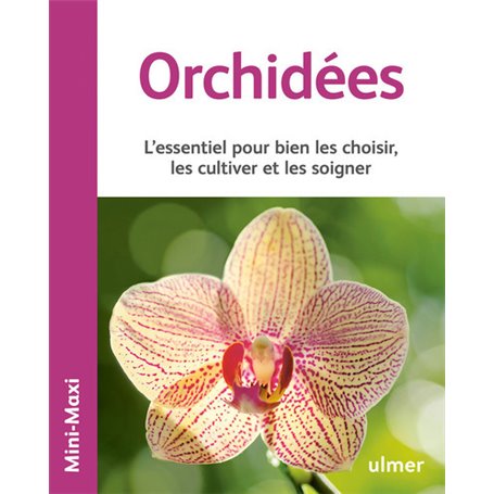 Orchidées