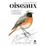 Les carnets du scarabée - Oiseaux