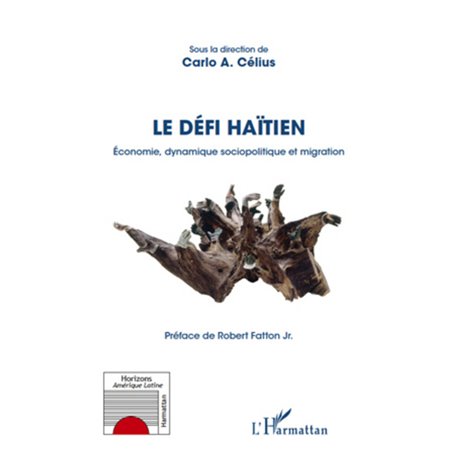 Le défi Haïtien