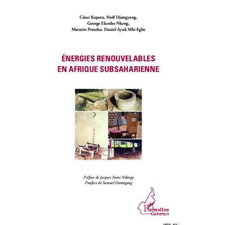 Energies renouvelables en Afrique subsaharienne