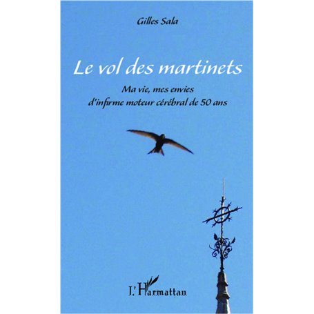 Le vol des martinets
