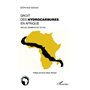 Le droit des hydrocarbures en Afrique