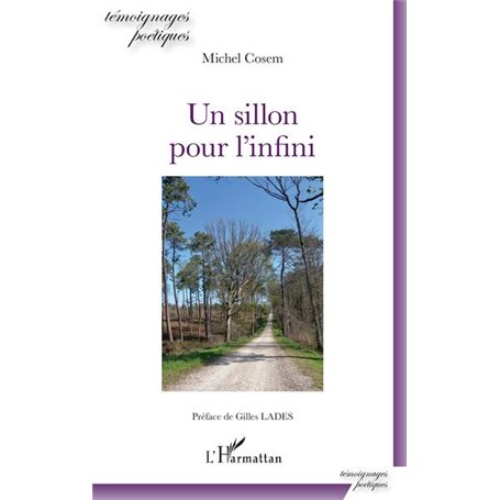 Un sillon pour l'infini