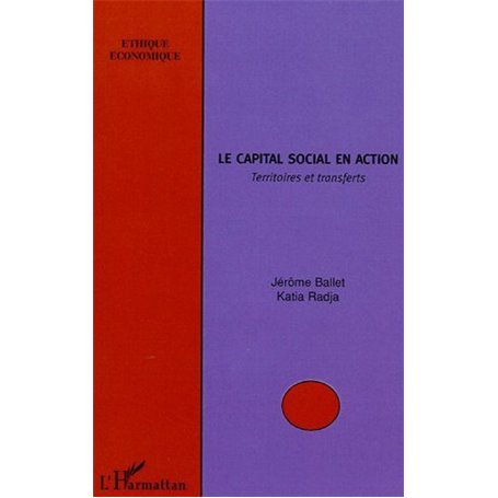 Le capital social en action