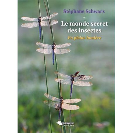 Le monde secret des insectes