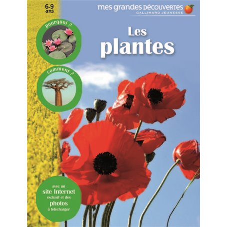 Les plantes