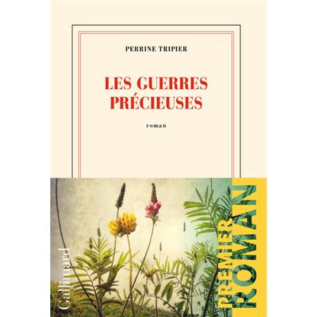 Les guerres précieuses