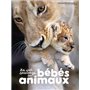 La vie sauvage des bébés animaux