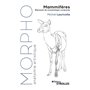 Morpho Mammifères
