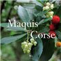 MAQUIS DE CORSE
