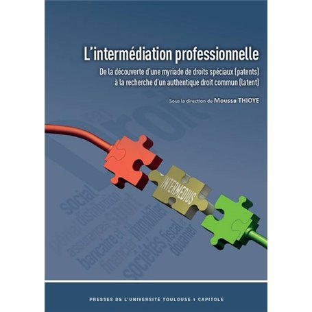 L'intermédiation professionnelle