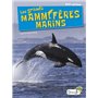 Les grands mammifères marins