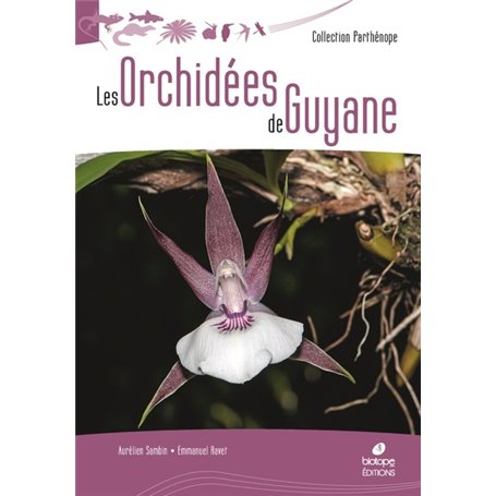 Les Orchidées de Guyane