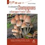 A la découverte des Champignons de Bourgogne-Franche-Comté
