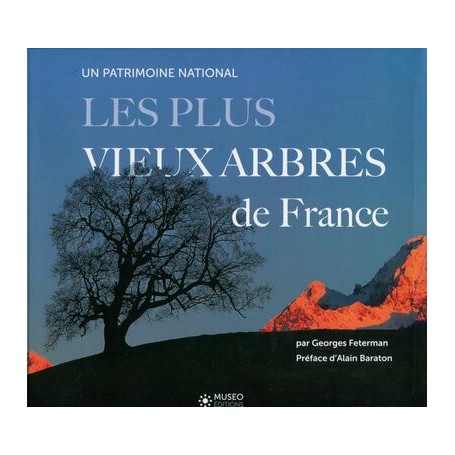 Les plus vieux arbres de France