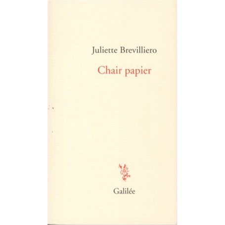 Chair papier