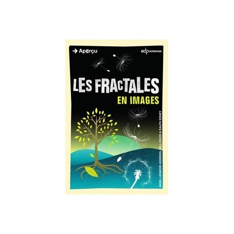 fractales en images (les)