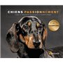 Chiens passionnément