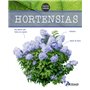 Hortensias