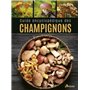 Guide encyclopédique des champignons