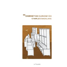 CES BOLIDES QUI MENACENT NOTRE MONDE. IMPACTS METEORITIQUES