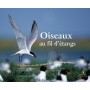 OISEAUX AU FIL D'ETANGS