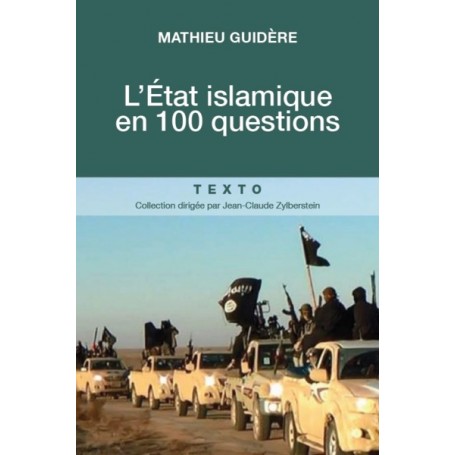 L'état islamique en 100 questions