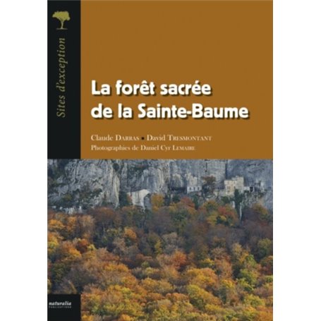 La forêt sacrée de la Sainte-Baume