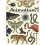 Animalium