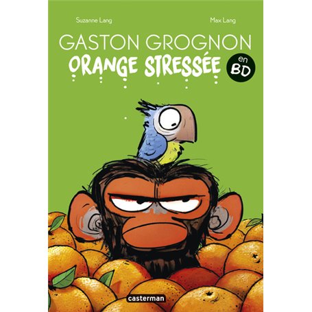 Gaston Grognon en BD - Orange Stressée