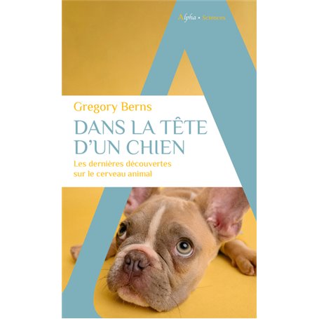 Dans la tête d'un chien