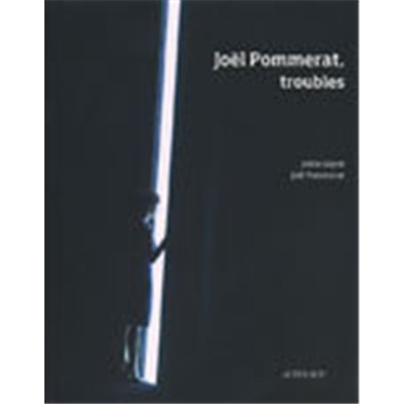 Joël Pommerat, troubles