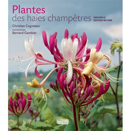Plantes des haies champêtres