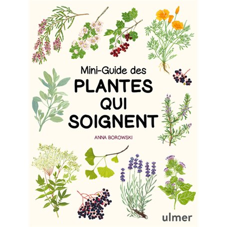 Mini-guide des plantes qui soignent