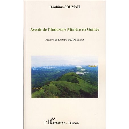 Avenir de l'Industrie Minière en Guinée