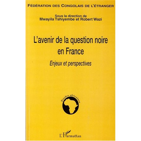 L'avenir de la question noire en France