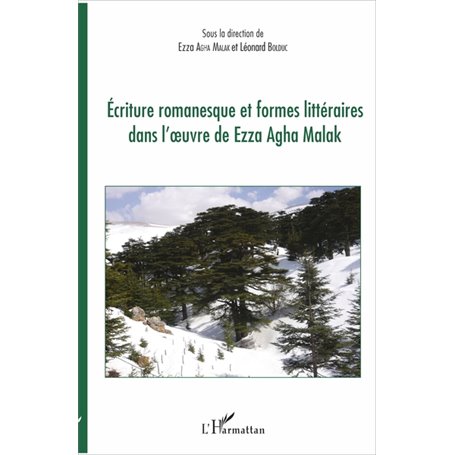 Ecriture romanesque et formes littéraires dans l'oeuvre de Ezza Agha Malak