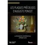 Les plaques précieuses d'Auguste Ponsot